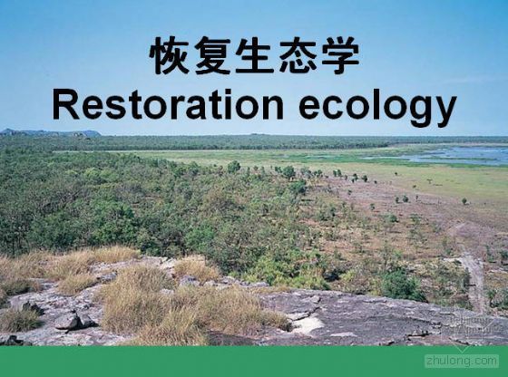 海绵城市生态系统资料下载-路域生态系统的恢复