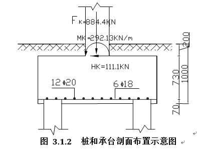 实验大厅排架结构单独基础设计-桩和承台剖面布置示意图