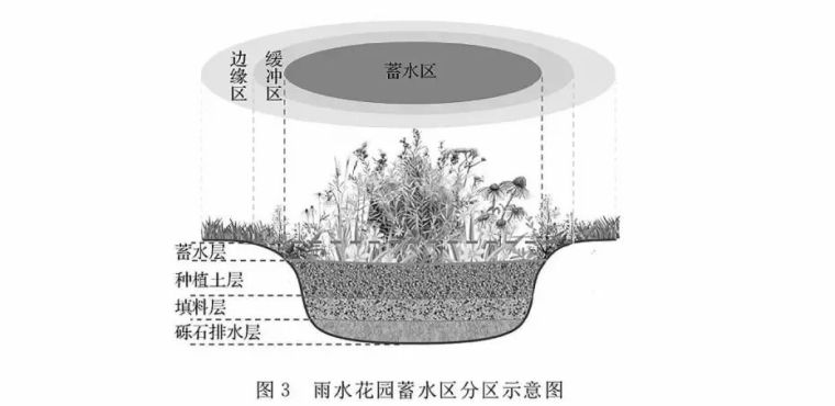 雨水花园究竟好在哪里？_8