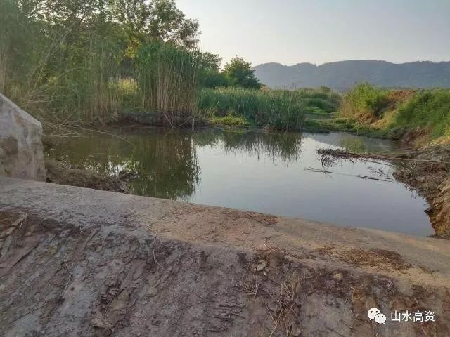 消除区域黑臭水体——河塘河道清淤工程_24