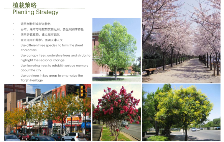 [天津]天津滨海新区于家堡CBD起步区总体景观设计导则（PDF+51页）-植物