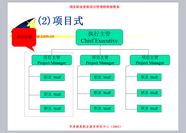 项目人力资源管理师-82页-组织类型