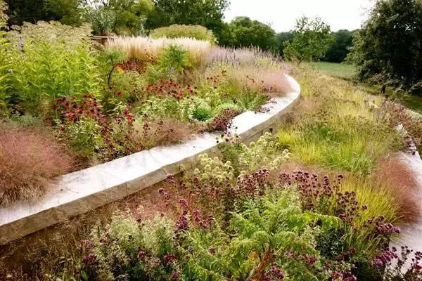 墨尔本皇家公园湿地资料下载-植物情景配置常见错误及对策