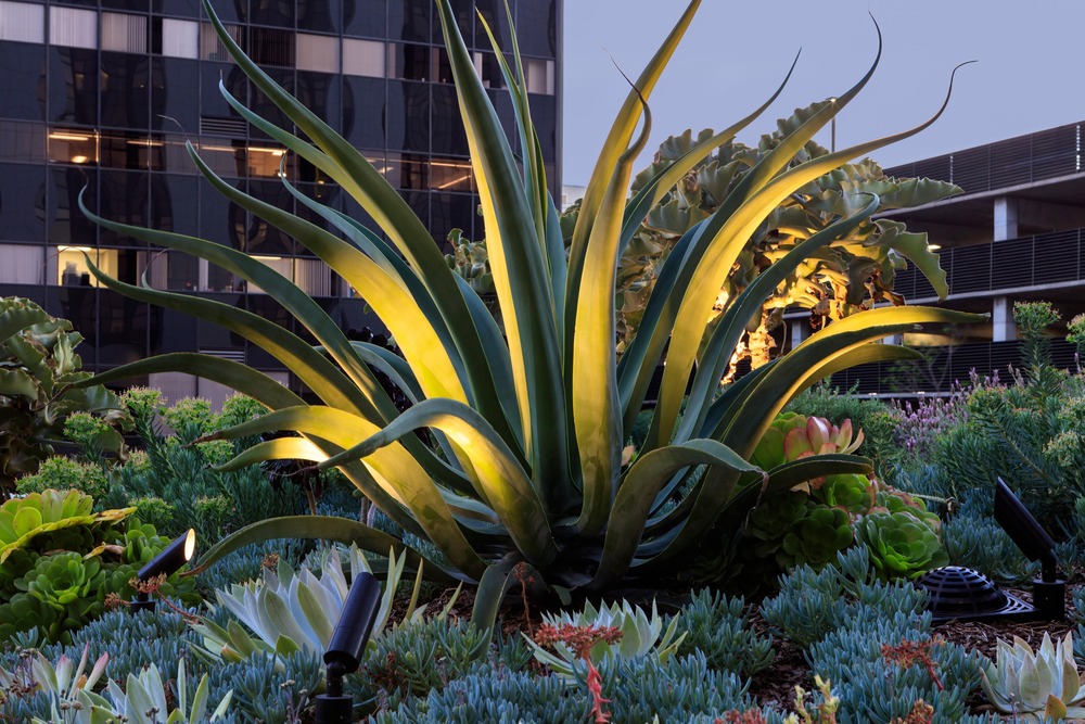 [分享]美国cedars-sinai医疗中心屋顶花园