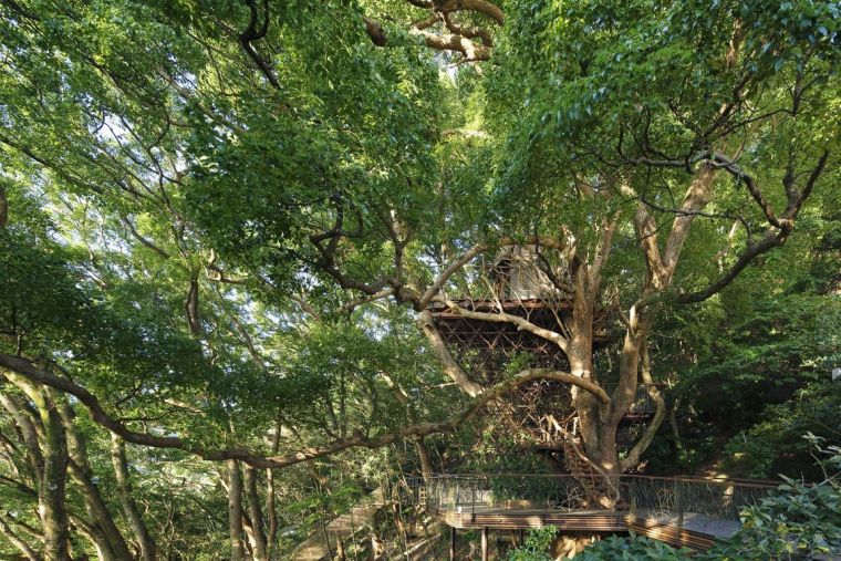 建筑与树案例资料下载-日本乌鸦与树屋
