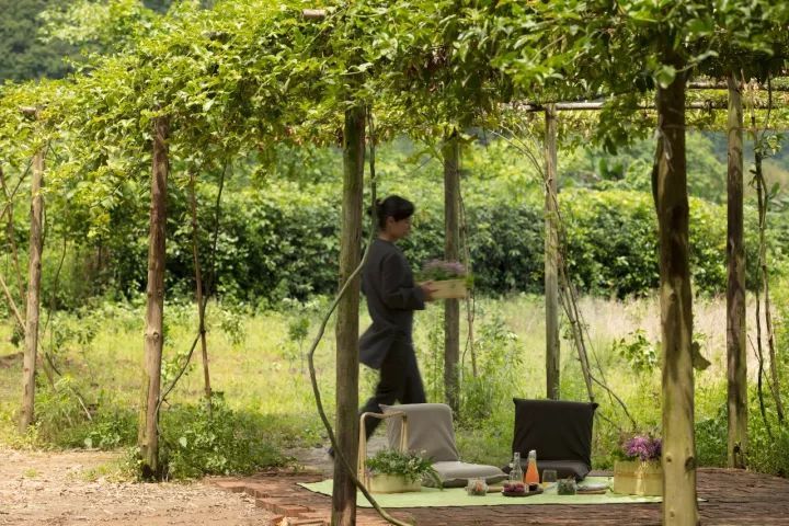 阿丽拉在中国_30