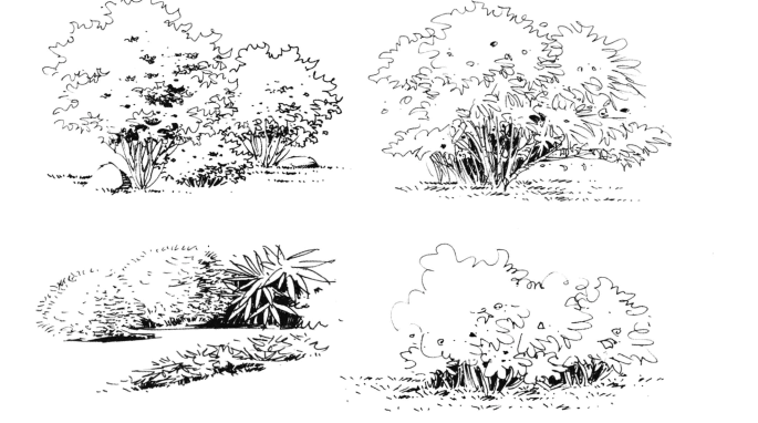 景观手绘表现基础技法PDF_3