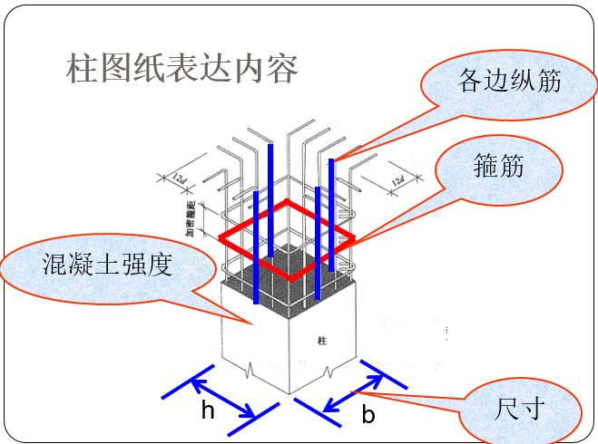 柱和基础混凝土平法识图（157页）-柱图纸表达内容