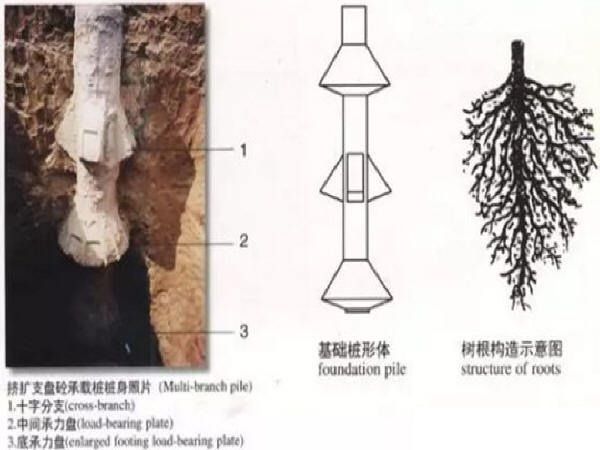 软土地质钻孔灌注桩资料下载-大直径挤扩支盘灌注桩施工工法