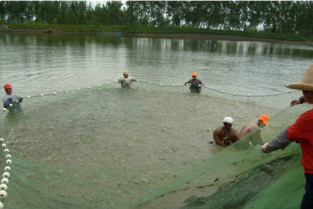 大棚恒温系统资料下载-空气能热泵新用途，快看啊！！