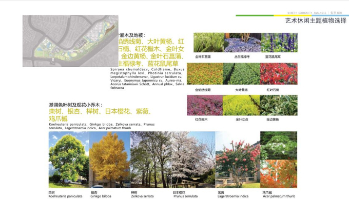 [上海]某地块运动公园景观概念设计-[朗道]-植物选择