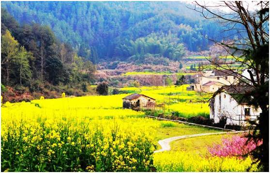 中国最美的20座呼吸小城，洗肺天堂有你的家乡吗？_12