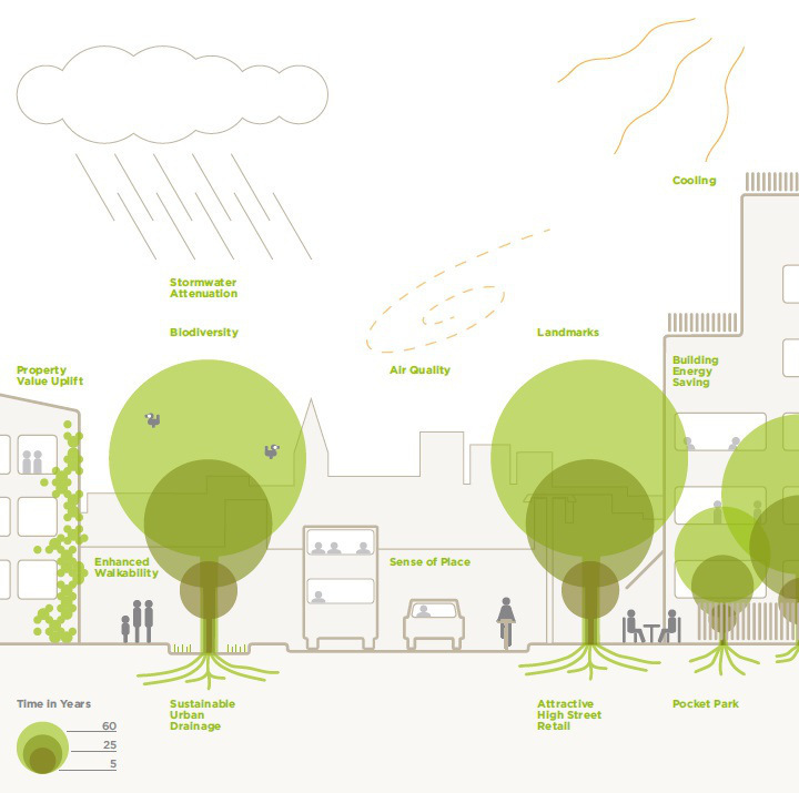 国土空间规划城市设计指南资料下载-规划师指南之城市景观树木
