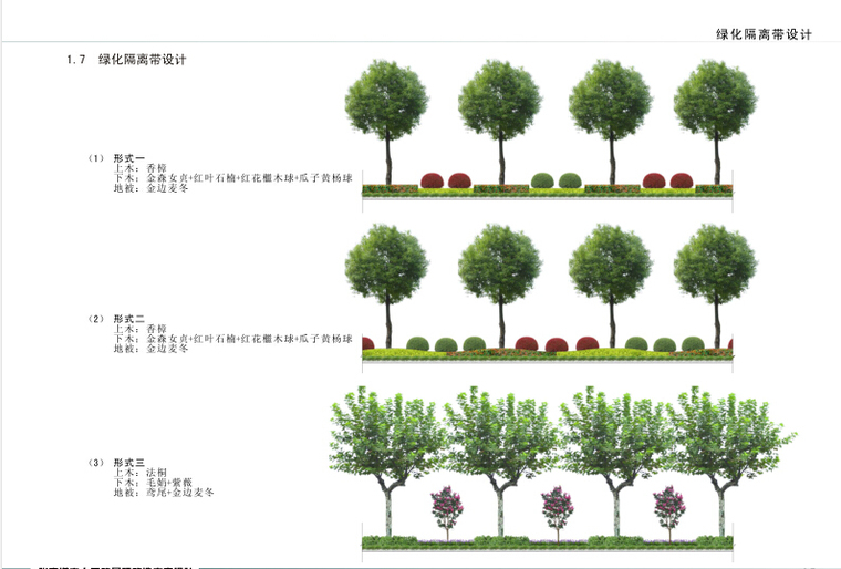 [江苏]张家港人民路景观改造方案设计-绿化隔离带设计
