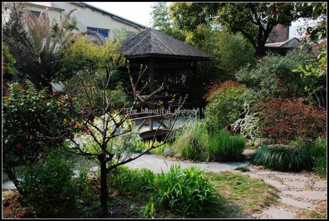 庭院绿化种植资料下载-棒极了庭院种植，就是这么漂亮