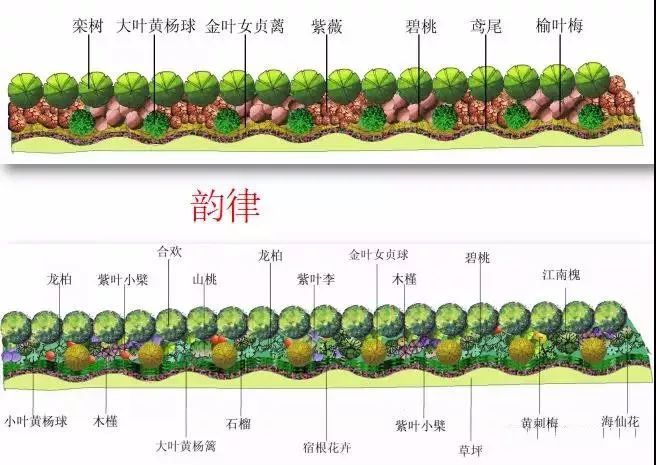 园林绿化及园林绿化施工全解_33