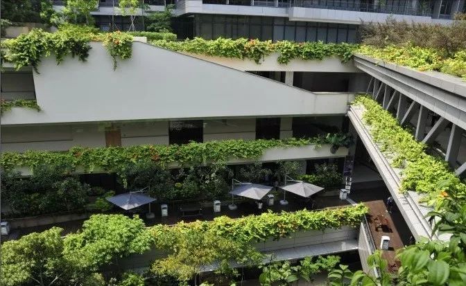 新加坡8个经典绿色建筑_56