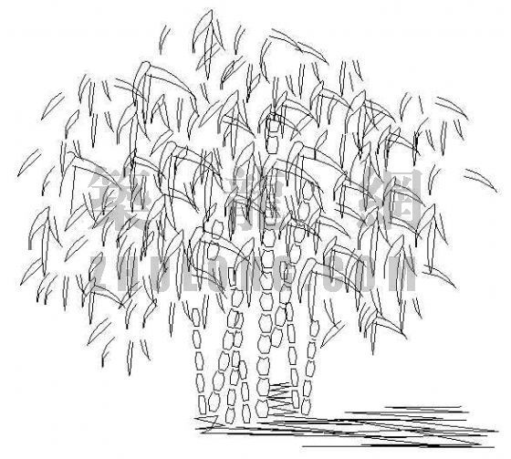 植物图例CAD立面资料下载-植物立面2