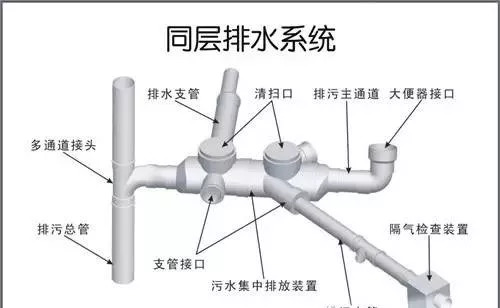 [分享]关于同层排水 你知道多少?