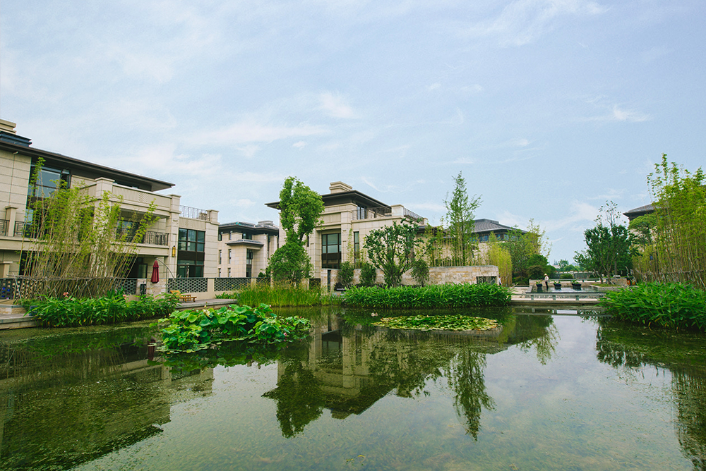 [分享]江苏镇江中集镇江金山湖1号高端别墅景观设计