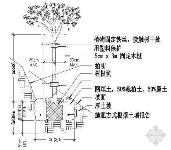 香港斜坡建筑资料下载-树在斜坡固定方式详图