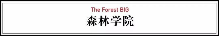 一个富二代，继承了150亩森林，与世隔绝_31