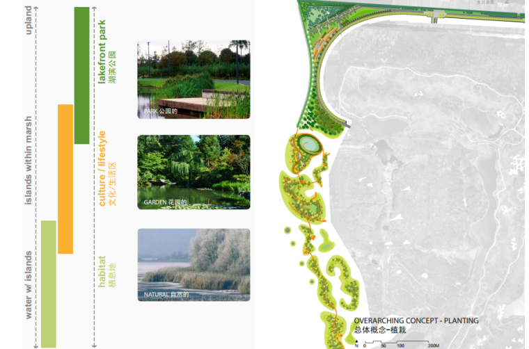 [江苏]滨水筑巢岛屿湿地公园景观设计方案（生态修复的典范）-植物设计