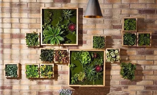 创意植物壁挂，让大自然爬上你家的墙！_2