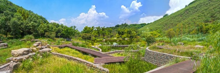 城市公园植物配置资料下载-景观设计植物配置教程,景观设计实战教学,园林景观学习