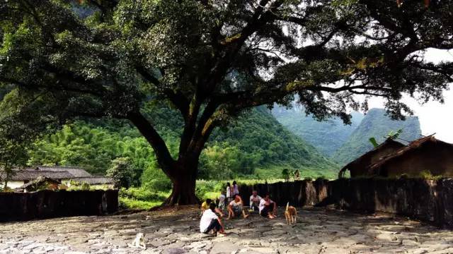 干货分享：美丽乡村如何打造一个好的乡村旅游空间_3