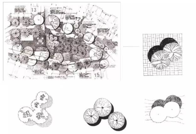 景观快题设计中植物表达技法！_22