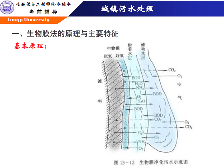 同济大学城镇污水处理－生物膜、厌氧、污泥处理培训讲义_2