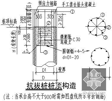 [广东]冲孔桩及静压预应力管桩施工方案（溶洞）-抗拔桩桩顶构造