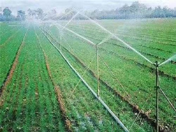 沉降变形观测实施方案资料下载-农田高效节水灌溉实施方案Word版（共90页）