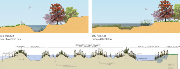 [浙江]绍兴市镜湖国家城市湿地公园总体概念规划设计（PDF+81页）-湿地剖面