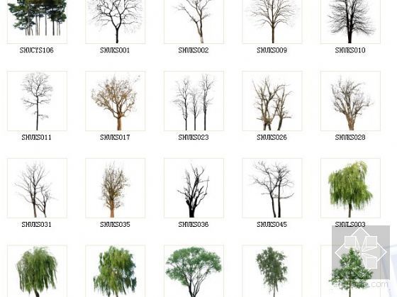配景树模型资料下载-植物配景
