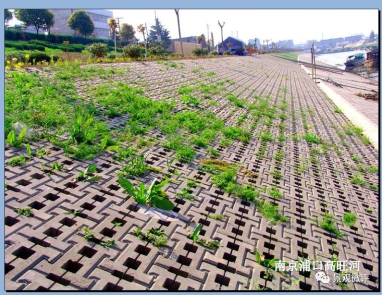 道路边坡绿化设计_3