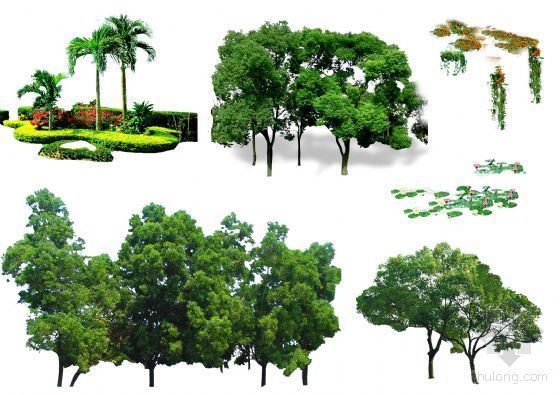 PS景观设计后期装修图资料下载-PS后期素材（树木）06