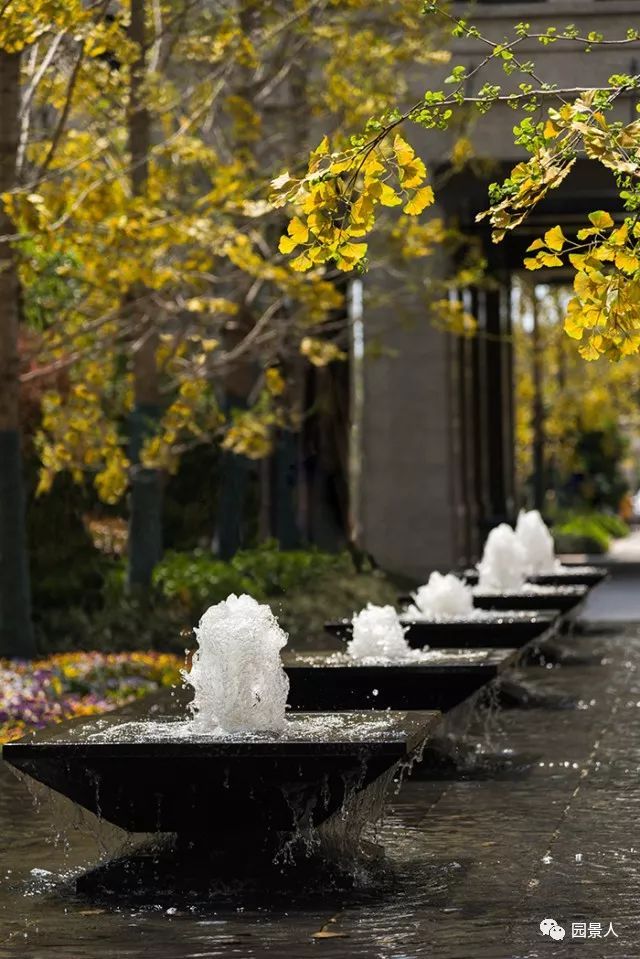 寒地城市水景观资料下载-景观 · 植物与水的诗情画意