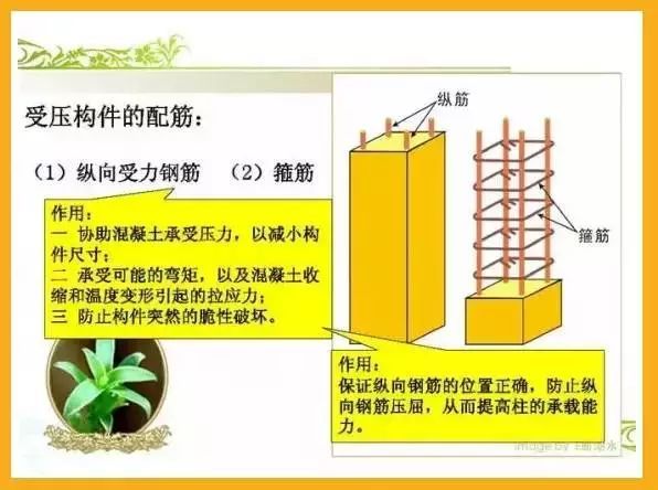 9张图教你看懂配筋图_3