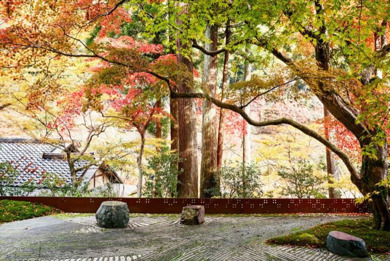 日本东京景点资料下载-你确定？真的会种树吗？