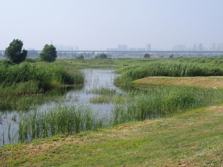 陕西渭柳湿地公园-008-weiliu-wetland-park-china-by-yifang-ecoscape