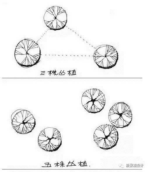 教你如何配置植物景观_18