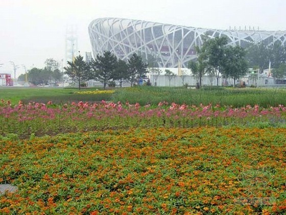 钢结构绿色施工策划资料下载-[北京]钢结构大型体育馆环境改造绿化工程监理大纲（鲁班奖工程）