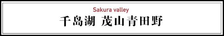 杭州单身大叔包下一座山谷，花1200万造民宿，成为樱花季最美去处_3