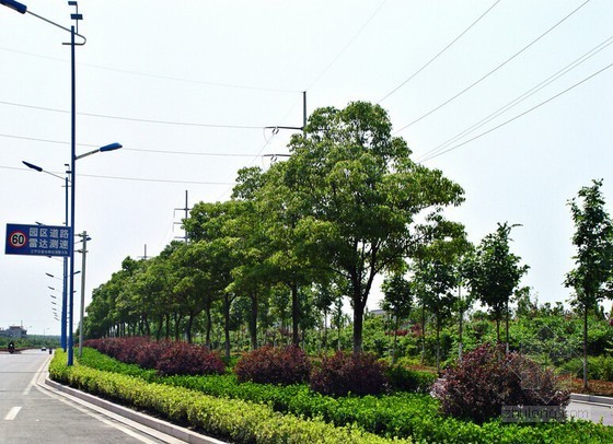 国道路灯工程监理大纲资料下载-[武汉]市政道路及园林绿化监理大纲（2014年编）