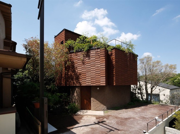 屋顶绿植建筑资料下载-日本环绕亚热带绿植的住宅