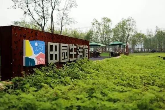 中国最成功的乡村改造！！！_27