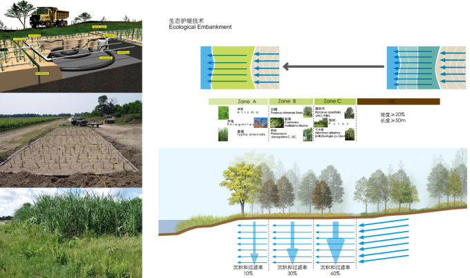 [湖北]“双轴四园”生态文化愈园特色园博会景观规划设计方案-水系净化策略