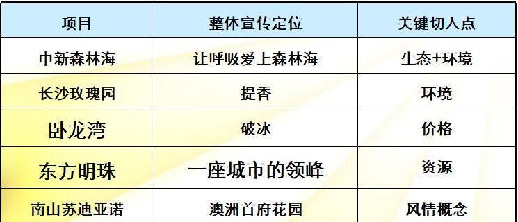 长沙房地产项目前期策划报告（共170页）-项目周边参考楼盘定位格调扫描